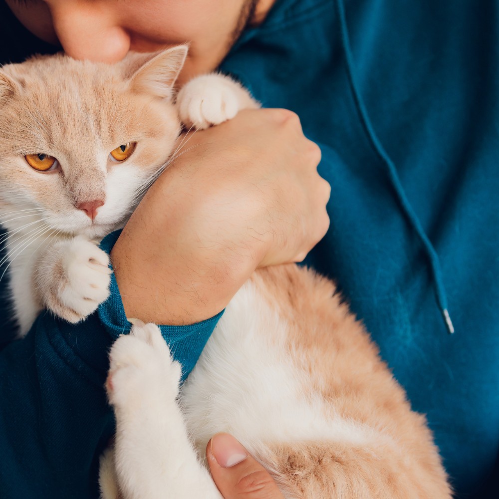 person hugging an orange cat